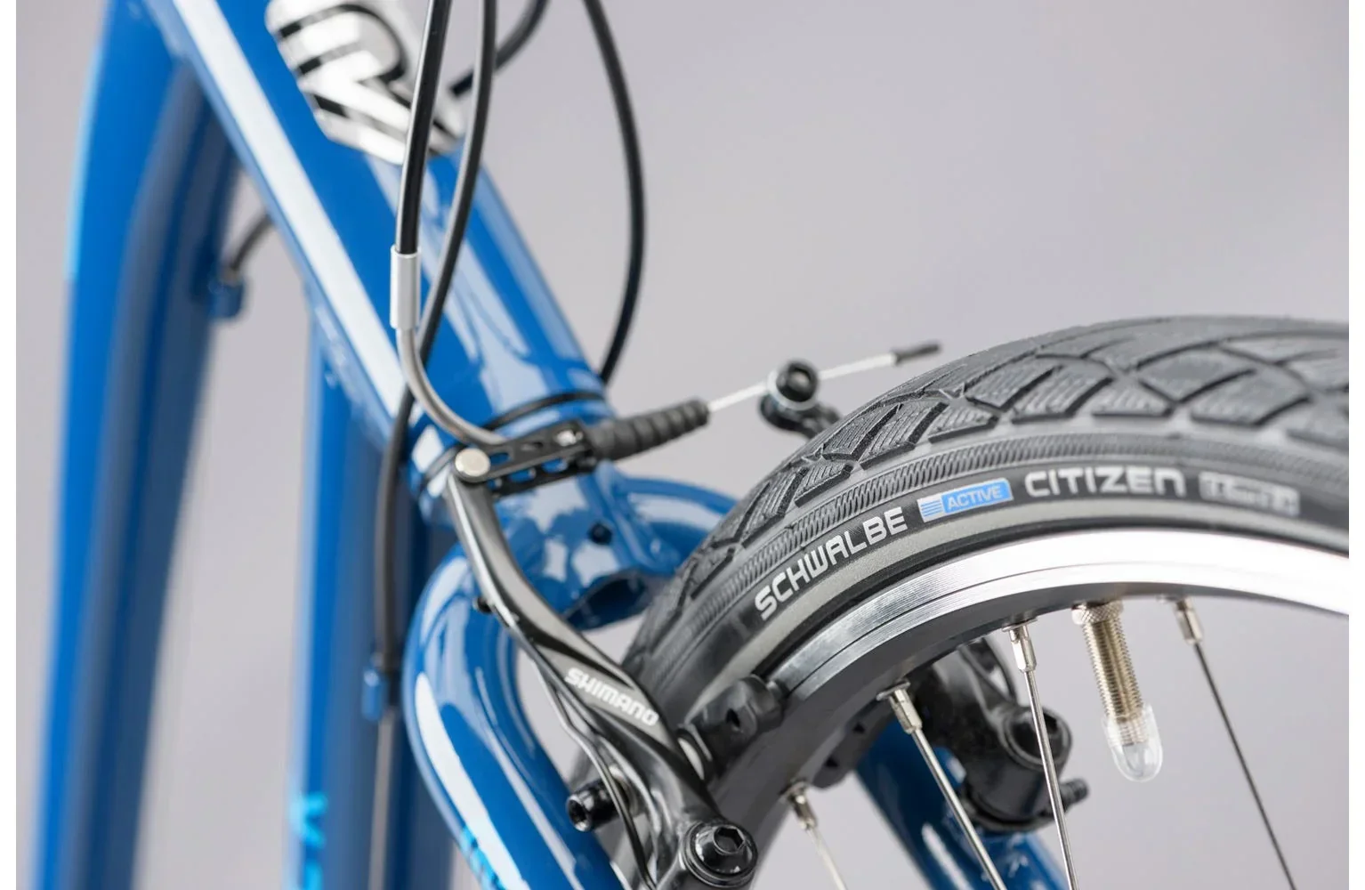 Ridgeback Velocity ST - Image 4